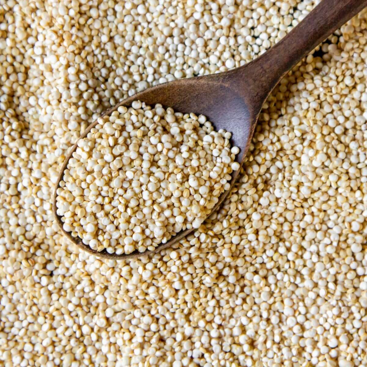 Quinoa blanca 1Kg